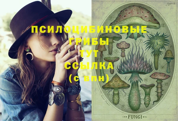 мдпв Балабаново